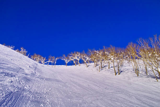 Furano Ski Resort