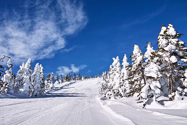 5 Best Ski Resorts in Japan